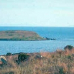 dscn2431.jpg