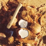 Lunch on the beach in Queensland