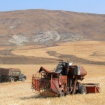 Harvest.