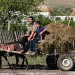 dscn6779_0.jpg