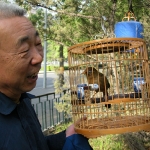 Bird man of Beijing.