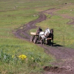 dscn7156.jpg
