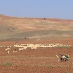 dscn7414.jpg