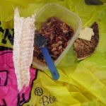           Icelandic feast