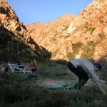 First Bush camp.