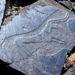 Rock art on the steppes.