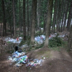 Scene in a national park.