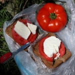 Farmers cheese, tomatos and home made bread.