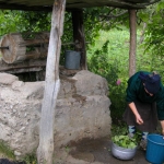 Drawing water, washing greens.