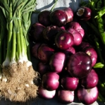 Market food.