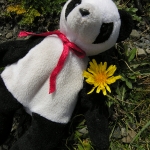 Panda and Dandelions 