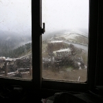 Snowy Morning          