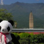 Lucky Goes Tourist at the Three Pagodas          