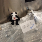 Lucky and bagged-up Zippy