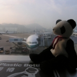 Lucky in Hong Kong    