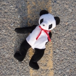 Lucky the Recsue Panda    