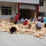 Corn husking party        