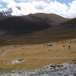 Grazing valley and tent     