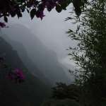 Misty Morning in Shangri-La        