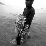 Bringing in the catch