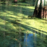 Mississippi