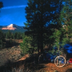 Utah bush camp