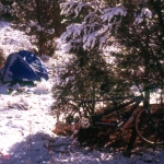 Spring Snow in Utah