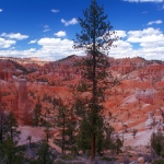 Utah