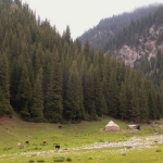 Yurt.
