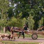Local traffic.