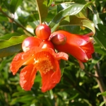 dscn7859.jpg