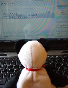 Bob Says Writer's Block is Normal