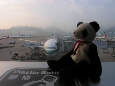 Lucky in HongKong Lucky in HongKong