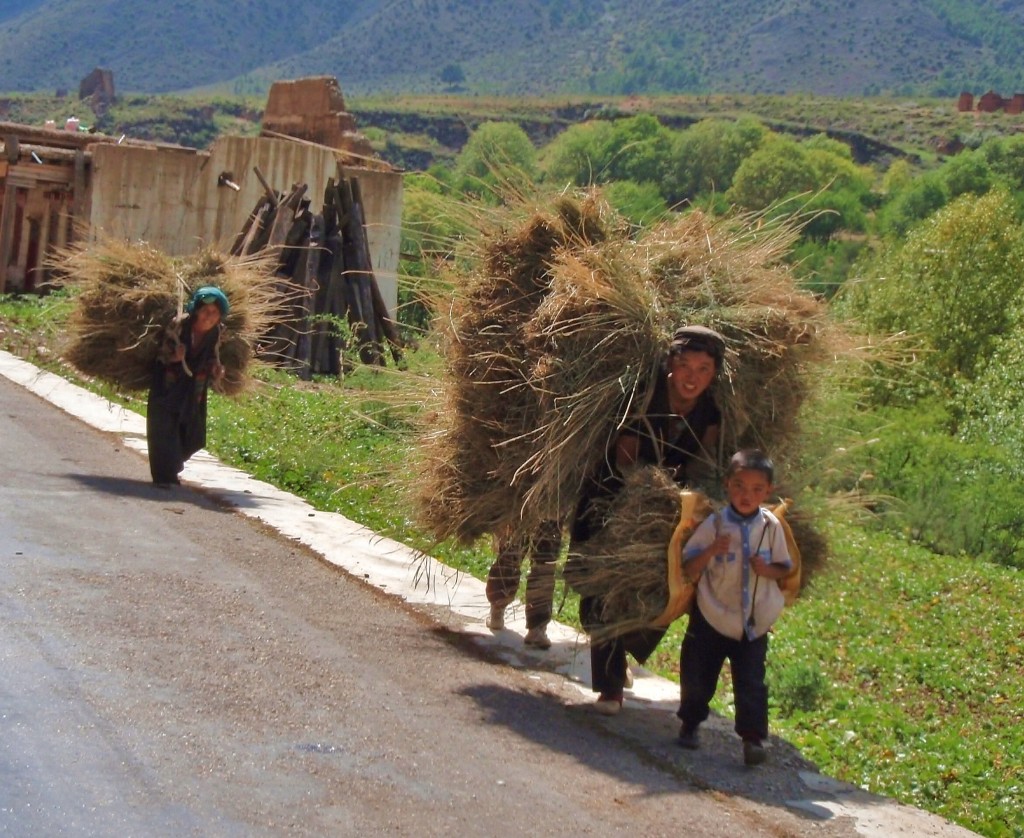 Tibetan women carrying stacks of hay