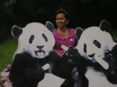 Good-bye Tai Shan