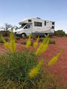 The Turtle Chronicles; Motorhome Travel, New Horizons