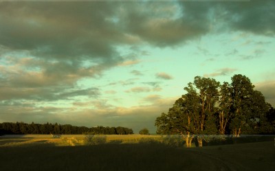 Emerson Vineyards, Harvest Hosts Stay in the Willamette Valley