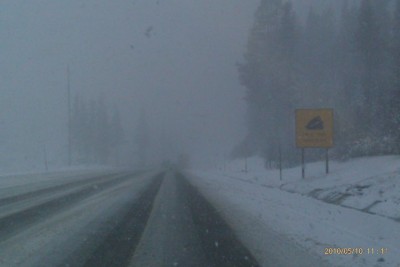 Turtle Crosses Donner Pass; Snow
