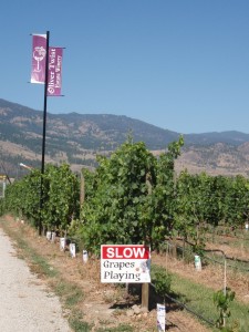 Kettle Valley Rail and Wine Trail