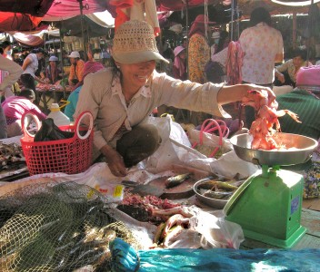 Cambodian Disaster: Sad Event For A Fine People