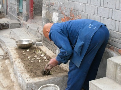 The (Chinese) Communist Party Are Eating Their Young