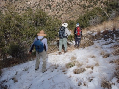 The Finger Rock Trail, Tucson, Arizona, January 2011