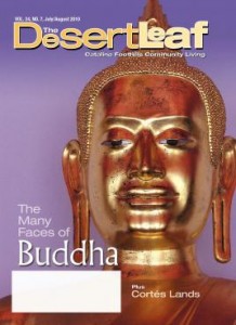 The Many Faces of Buddha