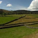 Likely Inca trail