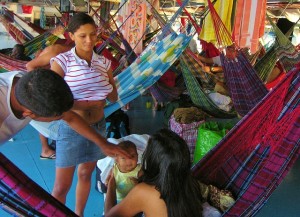 Life on the Amazon