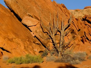 The Lost Hiker, Big Spring Canyon Loop