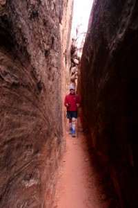 The Joint and Chesler Park in Canyonlands National Park
