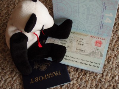 Lucky the rescued Panda looking at a China Visa